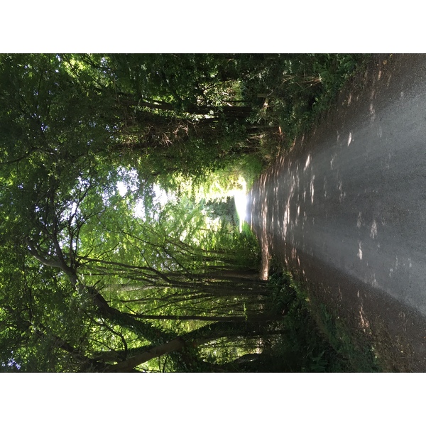 รูปถ่าย ฝรั่งเศส(France) เกาะแบล-อีล(Belle-Ile) 2016-08 148