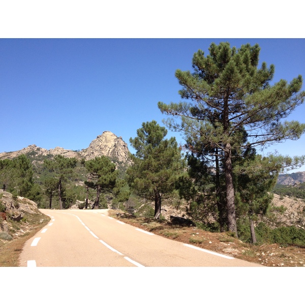 รูปถ่าย ฝรั่งเศส(France) คอร์สิคา(Corsica) ป่าลอสเปดาเล(L'ospedale Forest) 2012-09 51