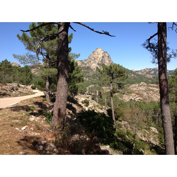 รูปถ่าย ฝรั่งเศส(France) คอร์สิคา(Corsica) ป่าลอสเปดาเล(L'ospedale Forest) 2012-09 60