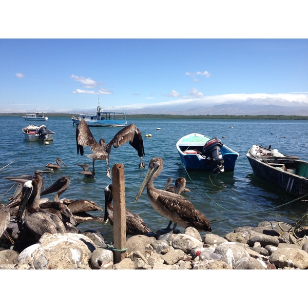 รูปถ่าย คอสตาริกา(Costa Rica) ปุนตาเรนัส(Puntarenas) 2015-03 76