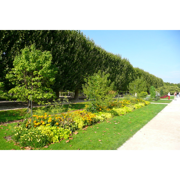 รูปถ่าย ฝรั่งเศส(France) ปารีส(Paris) สวนพันธ์ุพืช(Jardin des Plantes) 2007-08 208