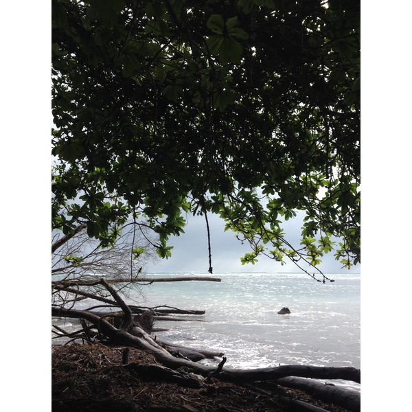รูปถ่าย คอสตาริกา(Costa Rica) กาอุยตา(Cahuita) 2015-03 104