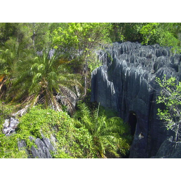 รูปถ่าย มาดากัสการ์(Madagascar) ทีซินกี(Tsingy) 1999-10 7