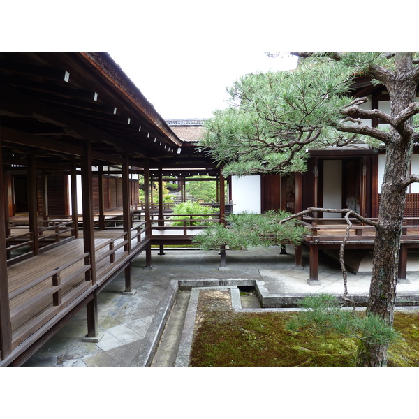 รูปถ่าย ญี่ปุ่น(Japan) เกียวโต(Kyoto) ตำหนักหลวงวัดนินนะจิ(Ninna ji imperial Residence) 2010-06 79