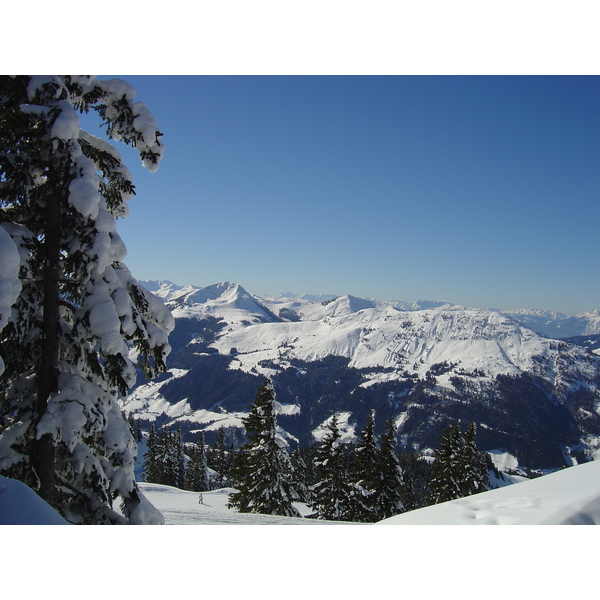 รูปถ่าย ออสเตรีย(Austria) คิทซ์บูเฮล(Kitzbuhel) สกี(Ski) 2005-03 37