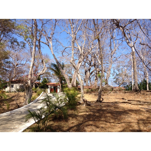 รูปถ่าย ปานามา(Panama) เกาะคอนตาโดรา(Contadora Island) 2015-03 145