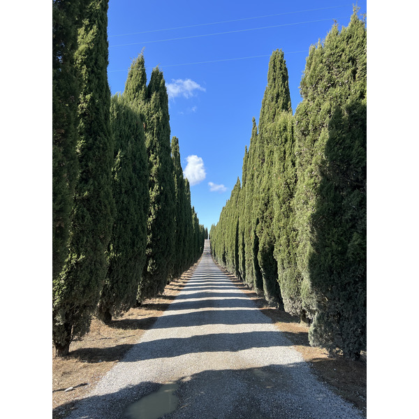รูปถ่าย อิตาลี(Italy) ทัสคานี(Tuscany) 2021-09 5