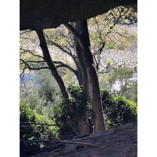 รูปถ่าย ฝรั่งเศส(France) นีเมอ(Nimes) 2021-05 55