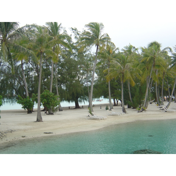 รูปถ่าย เฟรนช์โพลี่นีเซีย(Polynesia) โรงแรมเลอเมอริเดียน โบราโบรา(Meridien Bora Bora Hotel) 2006-04 104