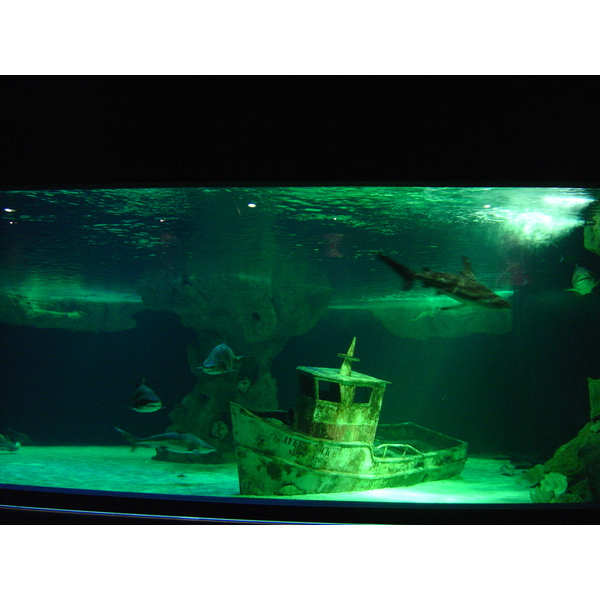 รูปถ่าย ฝรั่งเศส(France) เลอกรัวซิก(Le Croisic) 2004-08 31