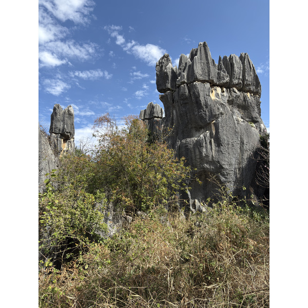 รูปถ่าย จีน(China) ป่าหินสือหลิน(Shilin Stone Forest) 2026-01 320