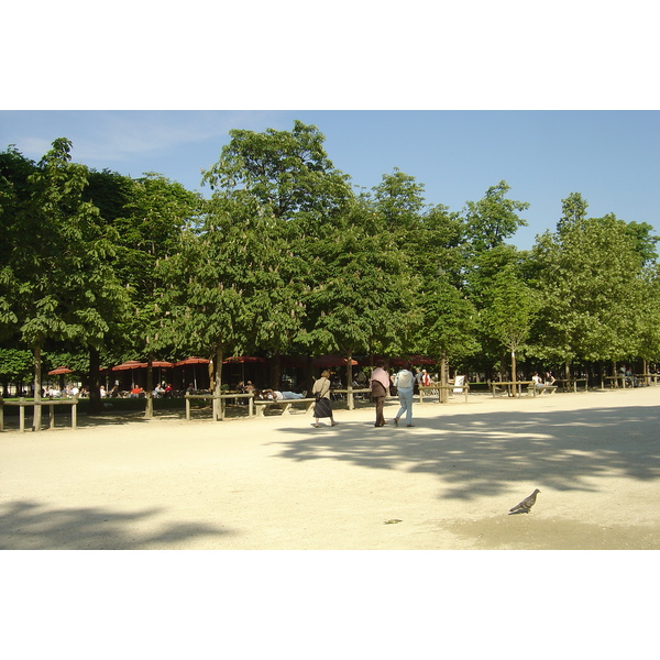 รูปถ่าย ฝรั่งเศส(France) ปารีส(Paris) สวนตุยเลอรี(Garden of Tuileries) 2007-05 175