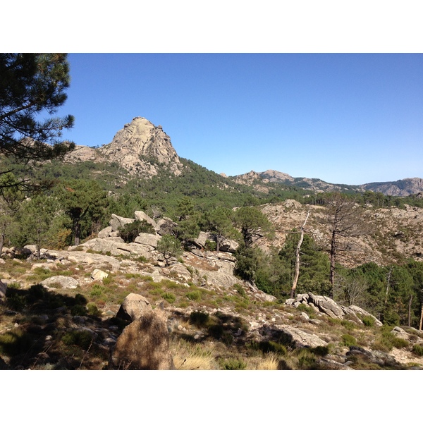 รูปถ่าย ฝรั่งเศส(France) คอร์สิคา(Corsica) ป่าลอสเปดาเล(L'ospedale Forest) 2012-09 17