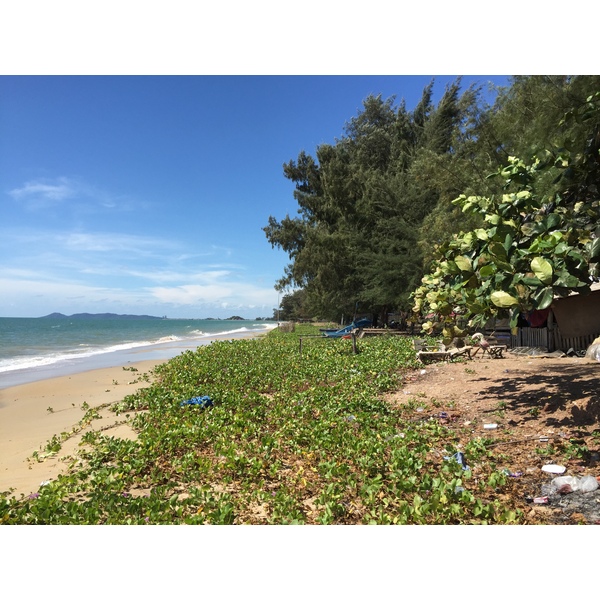 รูปถ่าย ไทย(Thailand) โรงแรมแมริออท ระยอง(Marriott Rayong) 2016-01 106