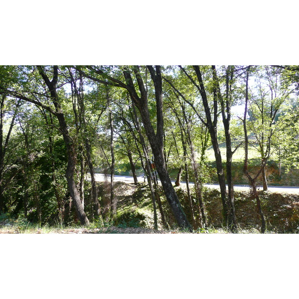รูปถ่าย ฝรั่งเศส(France) ลาโกด(La Gaude) 2007-07 52