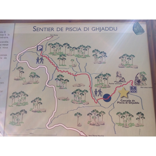 รูปถ่าย ฝรั่งเศส(France) คอร์สิคา(Corsica) ป่าลอสเปดาเล(L'ospedale Forest) 2012-09 20