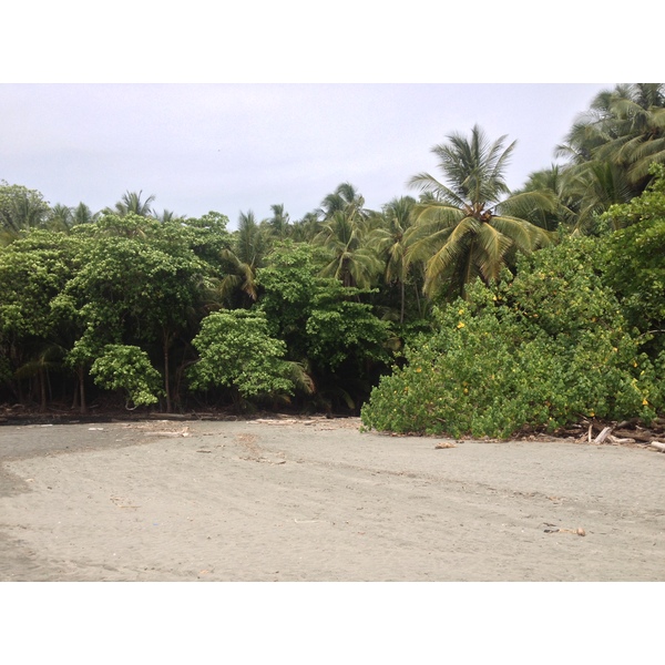 รูปถ่าย คอสตาริกา(Costa Rica) มอนเตซูมา(Montezuma) 2015-03 154