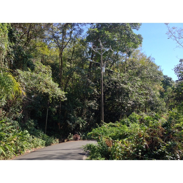 รูปถ่าย คอสตาริกา(Costa Rica) มานวยล์อันโตนีโอ(Manuel Antonio) 2015-03 54