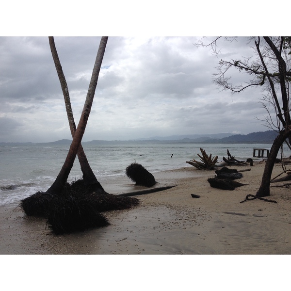 รูปถ่าย คอสตาริกา(Costa Rica) กาอุยตา(Cahuita) 2015-03 7