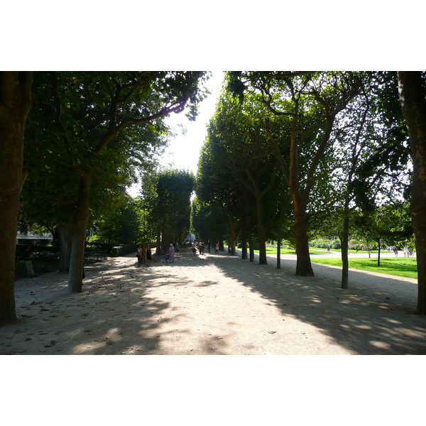 รูปถ่าย ฝรั่งเศส(France) ปารีส(Paris) สวนพันธ์ุพืช(Jardin des Plantes) 2007-08 228