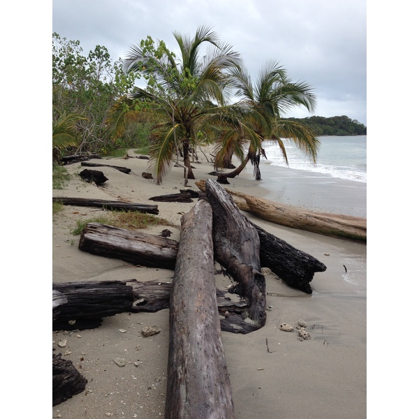 รูปถ่าย คอสตาริกา(Costa Rica) กาอุยตา(Cahuita) 2015-03 237