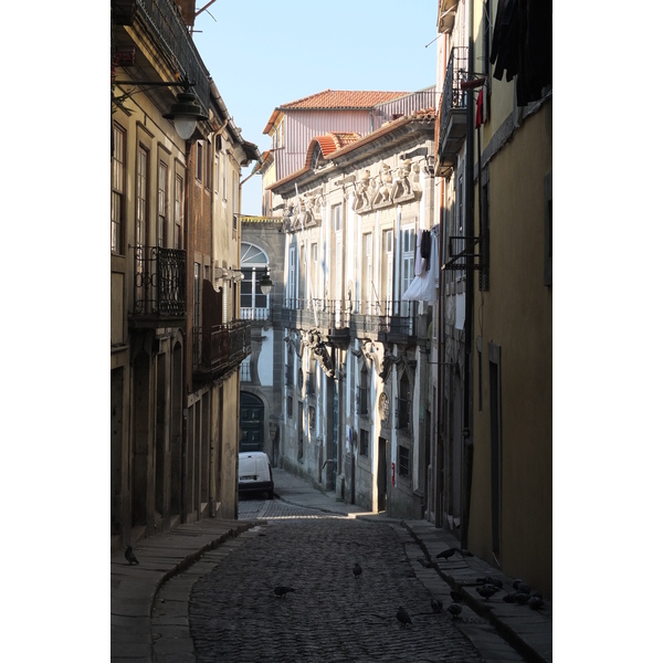 รูปถ่าย โปรตุเกส(Portugal) ปอร์โต(Porto) 2013-01 122