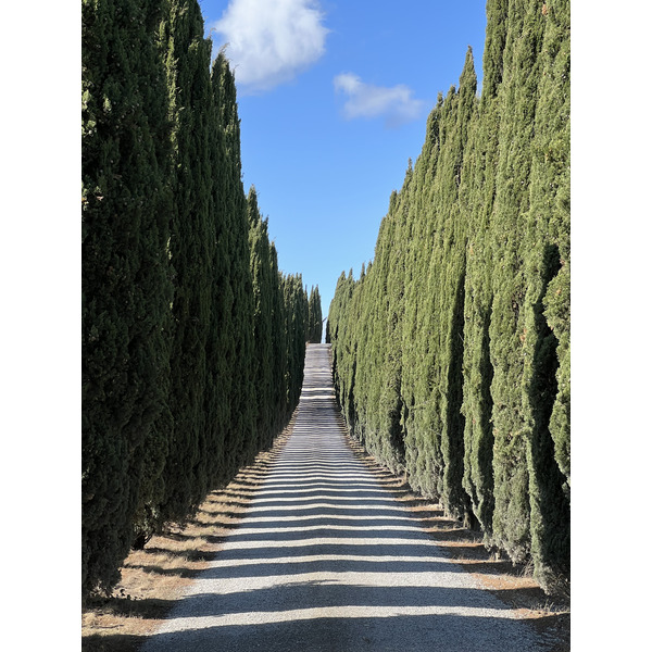 รูปถ่าย อิตาลี(Italy) ทัสคานี(Tuscany) 2021-09 26