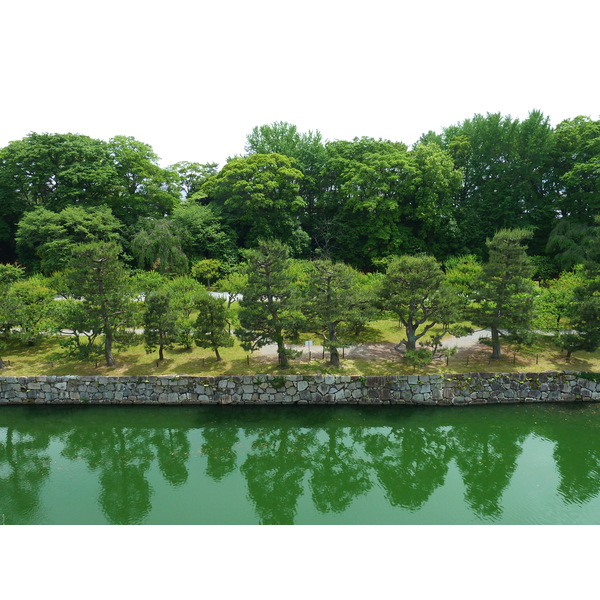 รูปถ่าย ญี่ปุ่น(Japan) เกียวโต(Kyoto) ปราสาทนิโจ(Nijo Castle) พระราชวังฮมมะรุ(Honmaru Palace) 2010-06 63