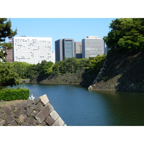 รูปถ่าย ญี่ปุ่น(Japan) โตเกียว(Tokyo) พระราชวังหลวง(Imperial Palace) 2010-06 94