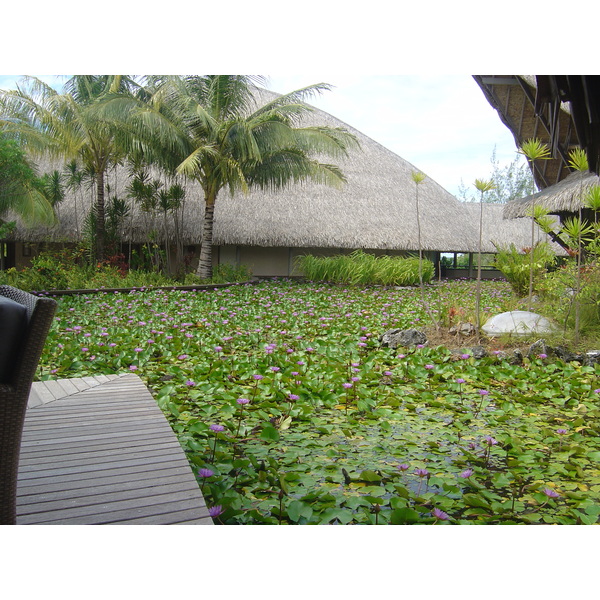 รูปถ่าย เฟรนช์โพลี่นีเซีย(Polynesia) โรงแรมเลอเมอริเดียน โบราโบรา(Meridien Bora Bora Hotel) 2006-04 147