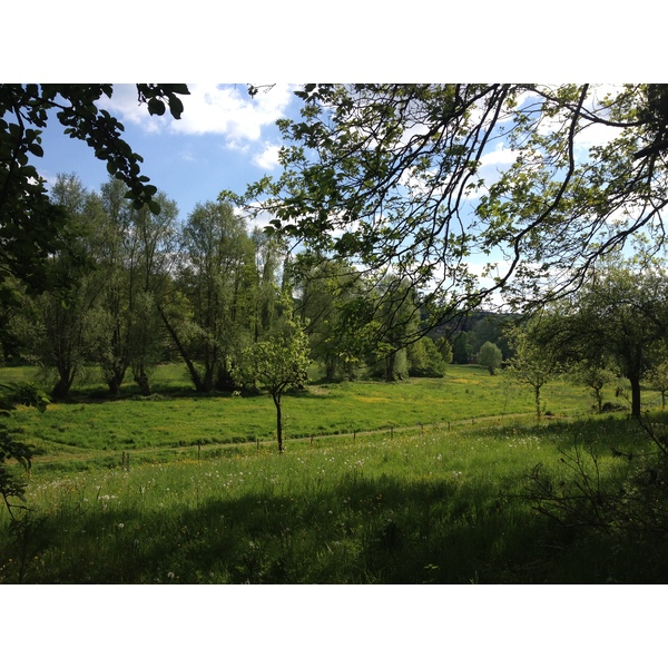 รูปถ่าย ฝรั่งเศส(France) ลียงส์-ลา-ฟอแร(Lyons La Foret) 2014-05 76