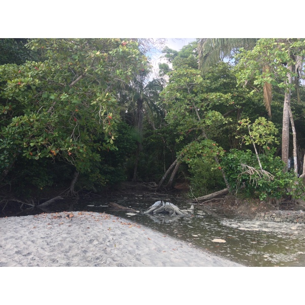 รูปถ่าย คอสตาริกา(Costa Rica) มานวยล์อันโตนีโอ(Manuel Antonio) 2015-03 513