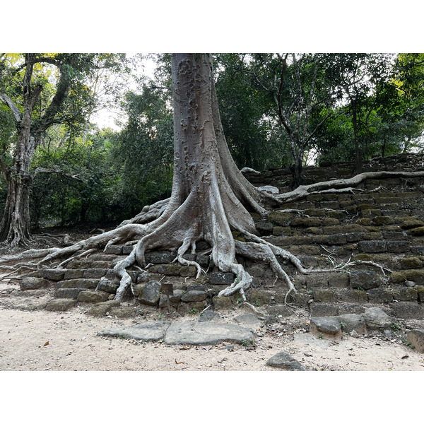 รูปถ่าย กัมพูชา(Cambodia) เสียมราฐ(Siem Reap) นครธม(Angkor Thom) 2023-01 19