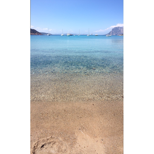 รูปถ่าย อิตาลี(Italy) ซาร์ดิเนีย(Sardinia) แหลมกาโปโกดากาวัลโล(Capo Coda Cavallo) 2015-06 74