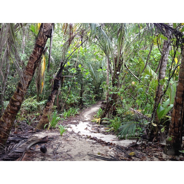รูปถ่าย คอสตาริกา(Costa Rica) กาอุยตา(Cahuita) 2015-03 48