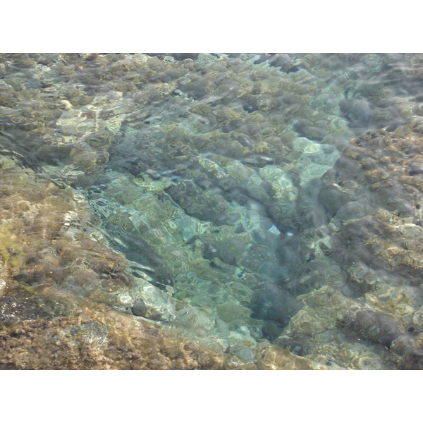 รูปถ่าย ฝรั่งเศส(France) คอร์สิคา(Corsica) ลูมิโอ่(Lumio) 2006-09 26