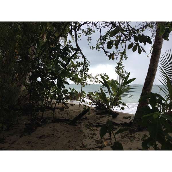 รูปถ่าย คอสตาริกา(Costa Rica) กาอุยตา(Cahuita) 2015-03 64