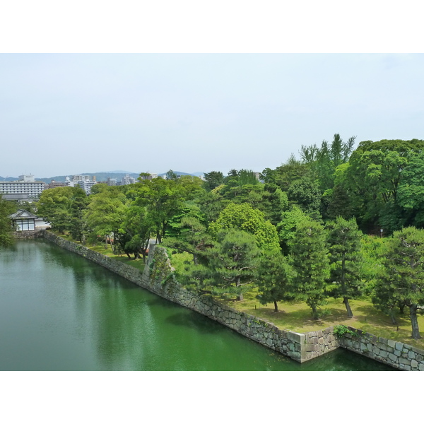 รูปถ่าย ญี่ปุ่น(Japan) เกียวโต(Kyoto) ปราสาทนิโจ(Nijo Castle) พระราชวังฮมมะรุ(Honmaru Palace) 2010-06 8