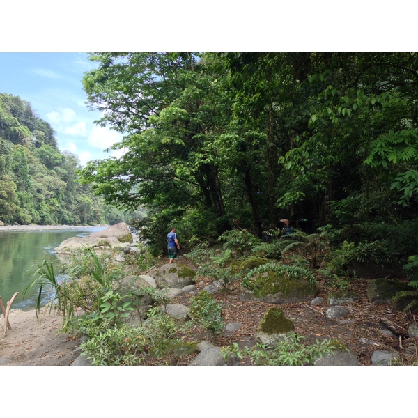 รูปถ่าย คอสตาริกา(Costa Rica) แม่น้ำปากัวเร(Pacuare River) 2015-03 40