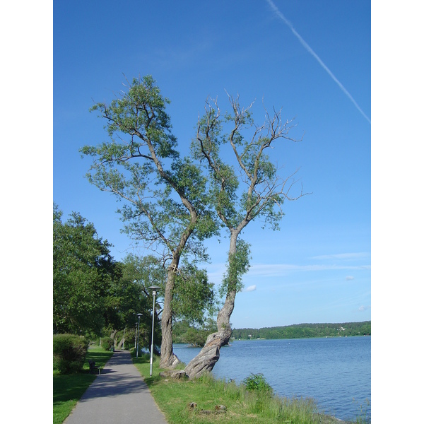 รูปถ่าย สวีเดน(Sweden) ซิกตูนา(Sigtuna) 2005-06 35