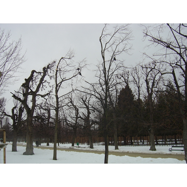 รูปถ่าย ออสเตรีย(Austria) เวียนนา(Vienna) 2005-03 45