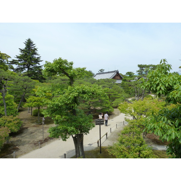 รูปถ่าย ญี่ปุ่น(Japan) เกียวโต(Kyoto) ปราสาทนิโจ(Nijo Castle) พระราชวังฮมมะรุ(Honmaru Palace) 2010-06 52