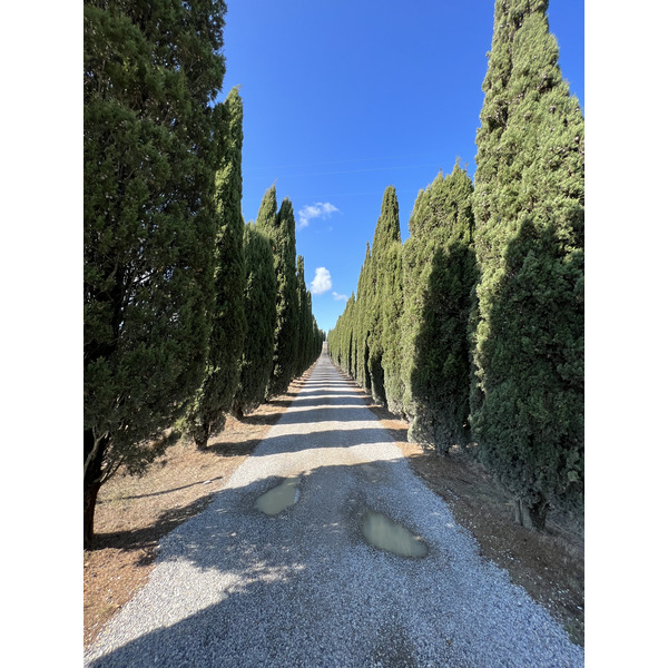 รูปถ่าย อิตาลี(Italy) ทัสคานี(Tuscany) 2021-09 27
