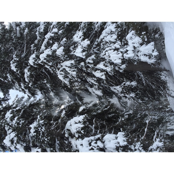 รูปถ่าย ฝรั่งเศส(France) เมแฌฟว์(Megeve) 2016-02 62