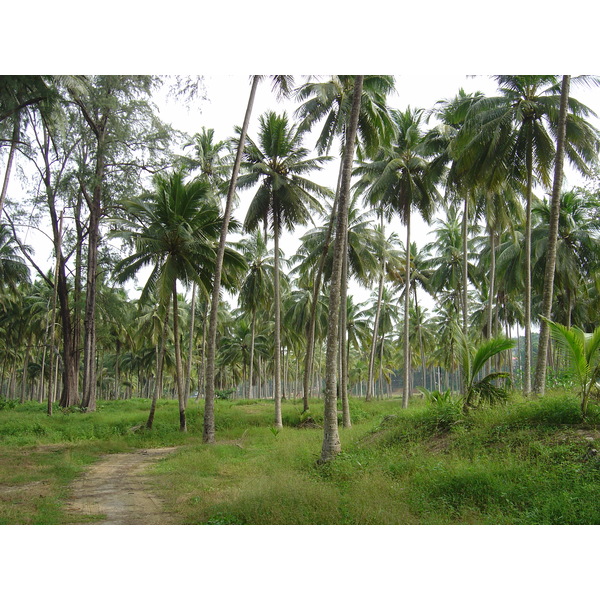 รูปถ่าย ไทย(Thailand) เขาหลัก(Khao Lak) หาดบางสัก(Bang Sak Beach) 2005-12 33