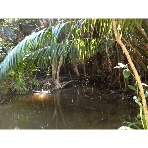 รูปถ่าย คอสตาริกา(Costa Rica) มานวยล์อันโตนีโอ(Manuel Antonio) 2015-03 19