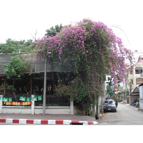 รูปถ่าย ไทย(Thailand) เชียงใหม่(Chiang Mai) ข้างในคุเมืองเชียงใหม่(Inside Canal) ถนนอารักษ์(ในคูเมือง)(Arrak Road(Canal)) 2006-04 15