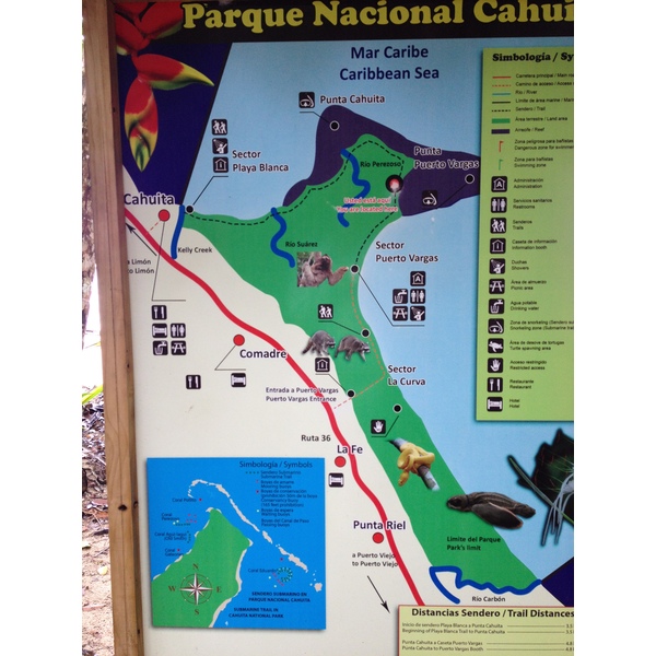 รูปถ่าย คอสตาริกา(Costa Rica) กาอุยตา(Cahuita) 2015-03 219
