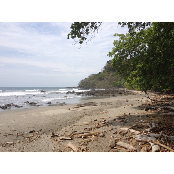 รูปถ่าย คอสตาริกา(Costa Rica) มอนเตซูมา(Montezuma) 2015-03 202