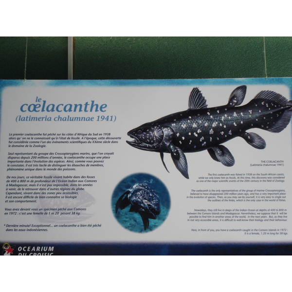 รูปถ่าย ฝรั่งเศส(France) เลอกรัวซิก(Le Croisic) 2006-08 31